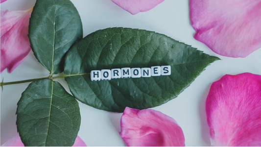 Can you 'balance' hormones through diet?