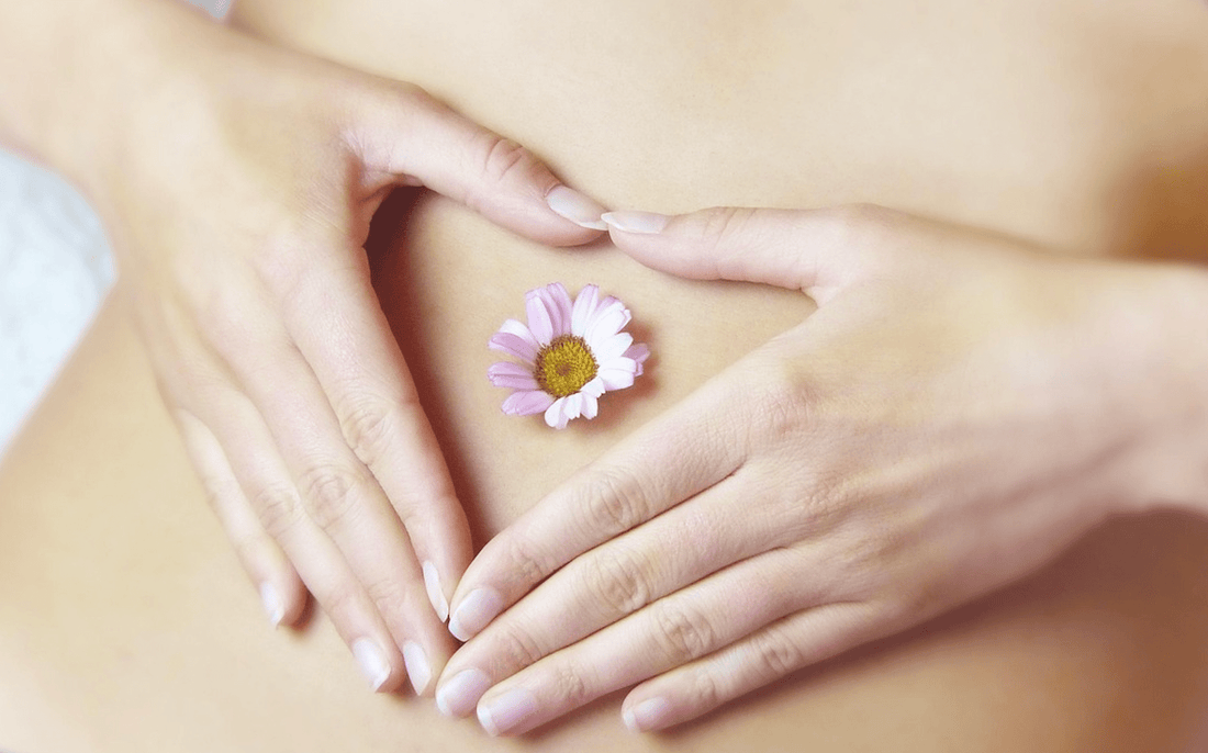 The Modern Midlife Reset, Part 3: Your Gut, Your Hormones — The Overlooked Connection - HER VITAL BLEND