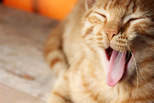Always Tired? Let's Stop Blaming Age